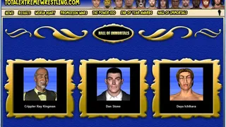 Скриншот 1 к игре Total Extreme Wrestling 2010