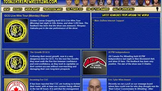 Скриншот 2 к игре Total Extreme Wrestling 2010
