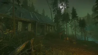 Скриншот 1 к игре The Cursed Forest
