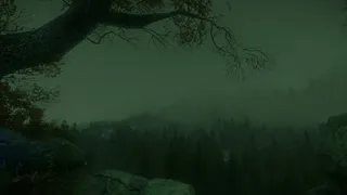 Скриншот 2 к игре The Cursed Forest
