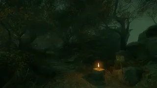 Скриншот 4 к игре The Cursed Forest