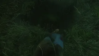 Скриншот 6 к игре The Cursed Forest