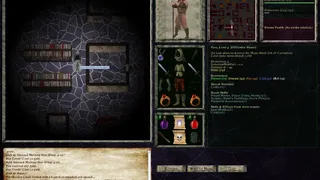 Скриншот 4 к игре Lord of the Dark Castle