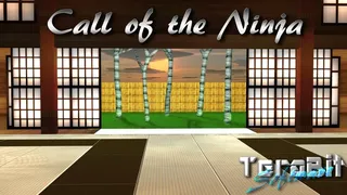 Скриншот 6 к игре Call of the Ninja!