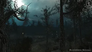 Скриншот 6 к игре Bloodwood Reload