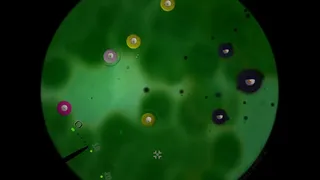 Скриншот 5 к игре Little Cells