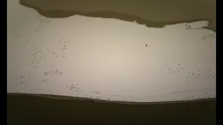 Скриншот 5 к игре Rooftop Cop