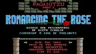 Скриншот 3 к игре Paganitzu