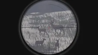 Скриншот 6 к игре Deer Hunter: Reloaded