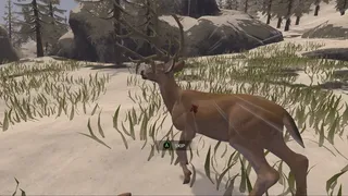 Скриншот 7 к игре Deer Hunter: Reloaded