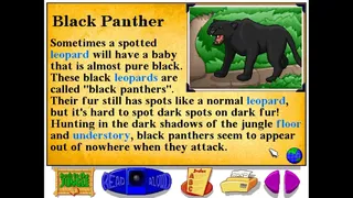 Скриншот 6 к игре Let's Explore the Jungle (Junior Field Trips)