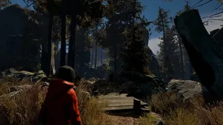 Скриншот 3 к игре Through the Woods