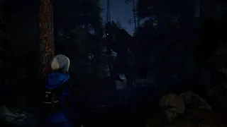 Скриншот 8 к игре Through the Woods