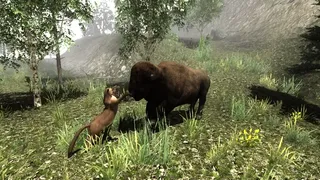 Скриншот 3 к игре Untamed: Life Of A Cougar