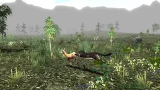 Скриншот 4 к игре Untamed: Life Of A Cougar