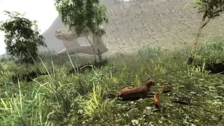 Скриншот 5 к игре Untamed: Life Of A Cougar