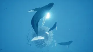 Скриншот 3 к игре ABZU