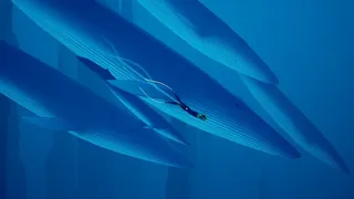 Скриншот 6 к игре ABZU