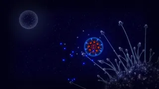 Скриншот 1 к игре Microcosmum: survival of cells