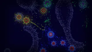 Скриншот 4 к игре Microcosmum: survival of cells