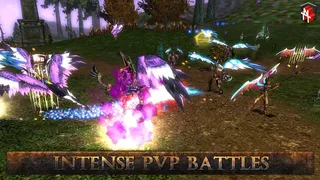 Скриншот 9 к игре Knight Online