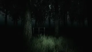 Скриншот 7 к игре My Bones
