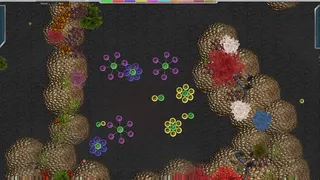 Скриншот 5 к игре Evolution