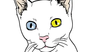 Скриншот 1 к игре Cat Simulator