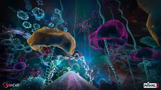 Скриншот 1 к игре InCell VR