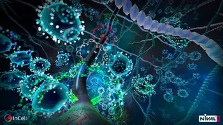 Скриншот 2 к игре InCell VR