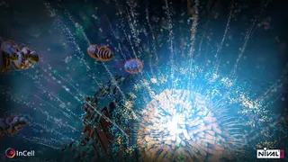 Скриншот 5 к игре InCell VR