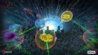 Скриншот 6 к игре InCell VR