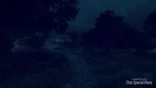 Скриншот 2 к игре Lumber Island - That Special Place
