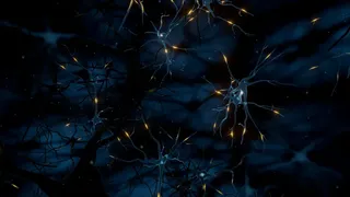Скриншот 2 к игре Tomorrow