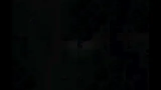 Скриншот 5 к игре The Forgotten Forest