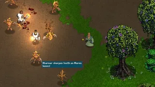 Скриншот 6 к игре Hero`s Song