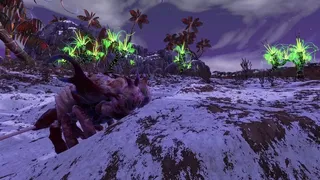 Скриншот 5 к игре Observatory: A VR Variety Pack