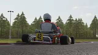 Скриншот 6 к игре Kart Racing Pro