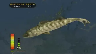 Скриншот 2 к игре The Strike