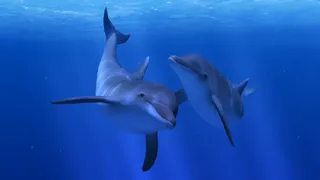 Скриншот 1 к игре Ocean Rift