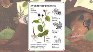 Скриншот 2 к игре Мышкина Энциклопедия