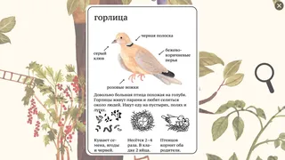 Скриншот 4 к игре Мышкина Энциклопедия