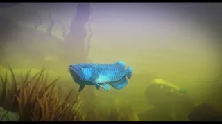 Скриншот 1 к игре Feed and Grow: Fish