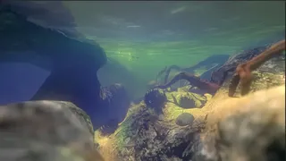 Скриншот 2 к игре Feed and Grow: Fish