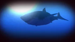 Скриншот 5 к игре Feed and Grow: Fish