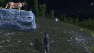 Скриншот 2 к игре WolfQuest: Classic