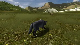 Скриншот 3 к игре WolfQuest: Classic