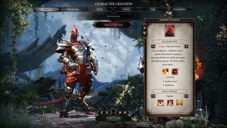 Скриншот 1 к игре Divinity: Original Sin 2 - Definitive Edition