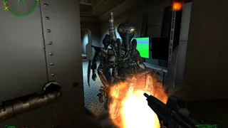 Скриншот 4 к игре Operation: Matriarchy
