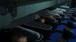 Скриншот 7 к игре Operation: Matriarchy